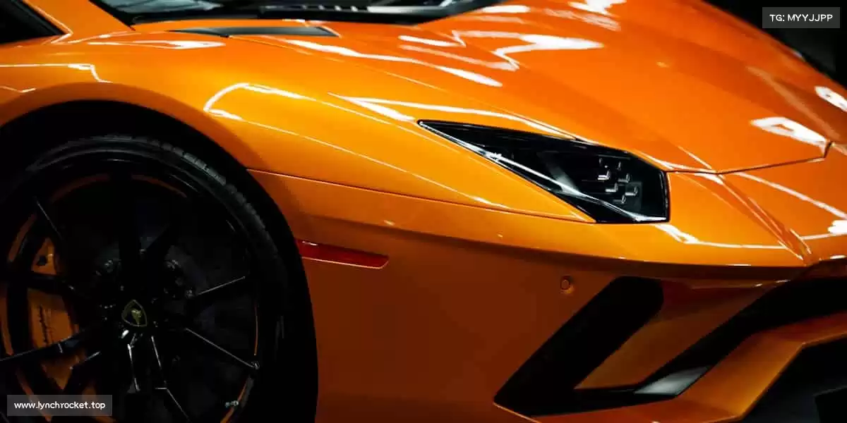 东升国际官网⚽️绿茵场、篮球场、羽毛球场…… 无论哪里，都是你追逐热爱的主场！